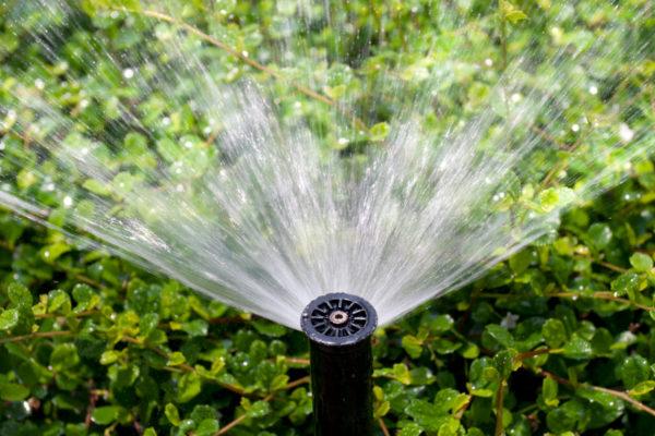 Underground Sprinkler Head Replacement | Better Blossom Irrigation