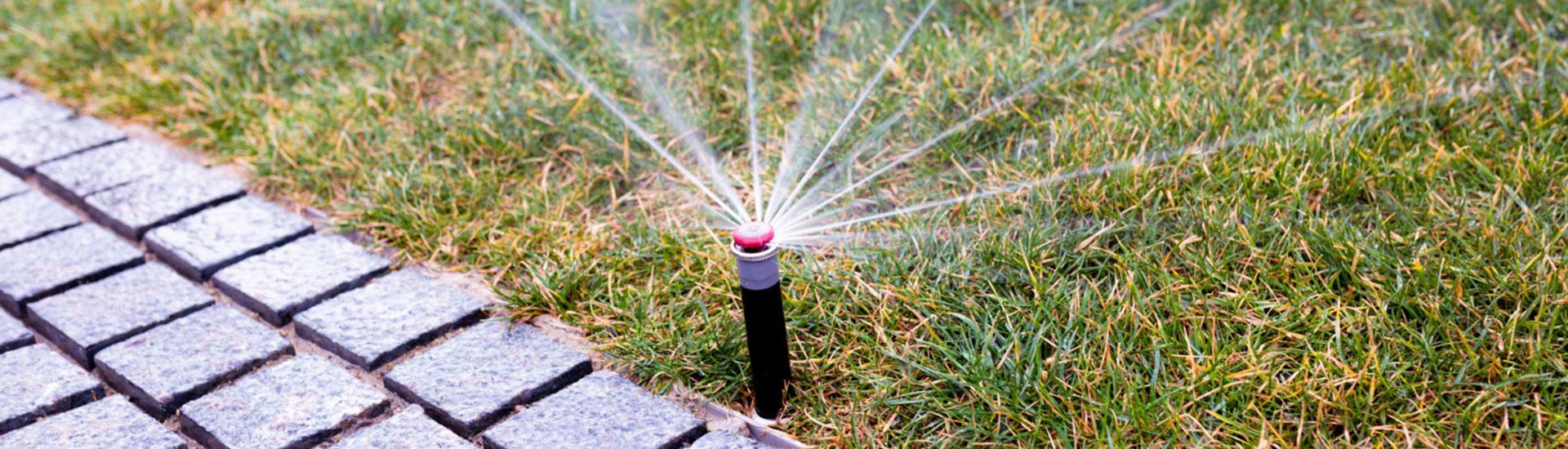 Sprinkler System Winterization Irrigation Winterization